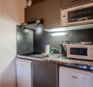 A compact kitchen with a Bosch dishwasher, a microwave, and a sink with a dish rack. - Le Paradisio I Studio I Morzine (Morzine)