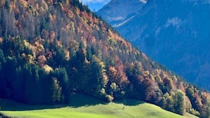 Een bergachtig landschap met herfstkleuren, een heldere lucht en een grasveld.