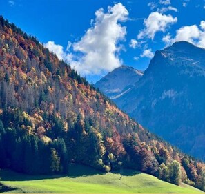 Miscellaneous - Le Flocon d'Argent I Studio I Morzine (Morzine)