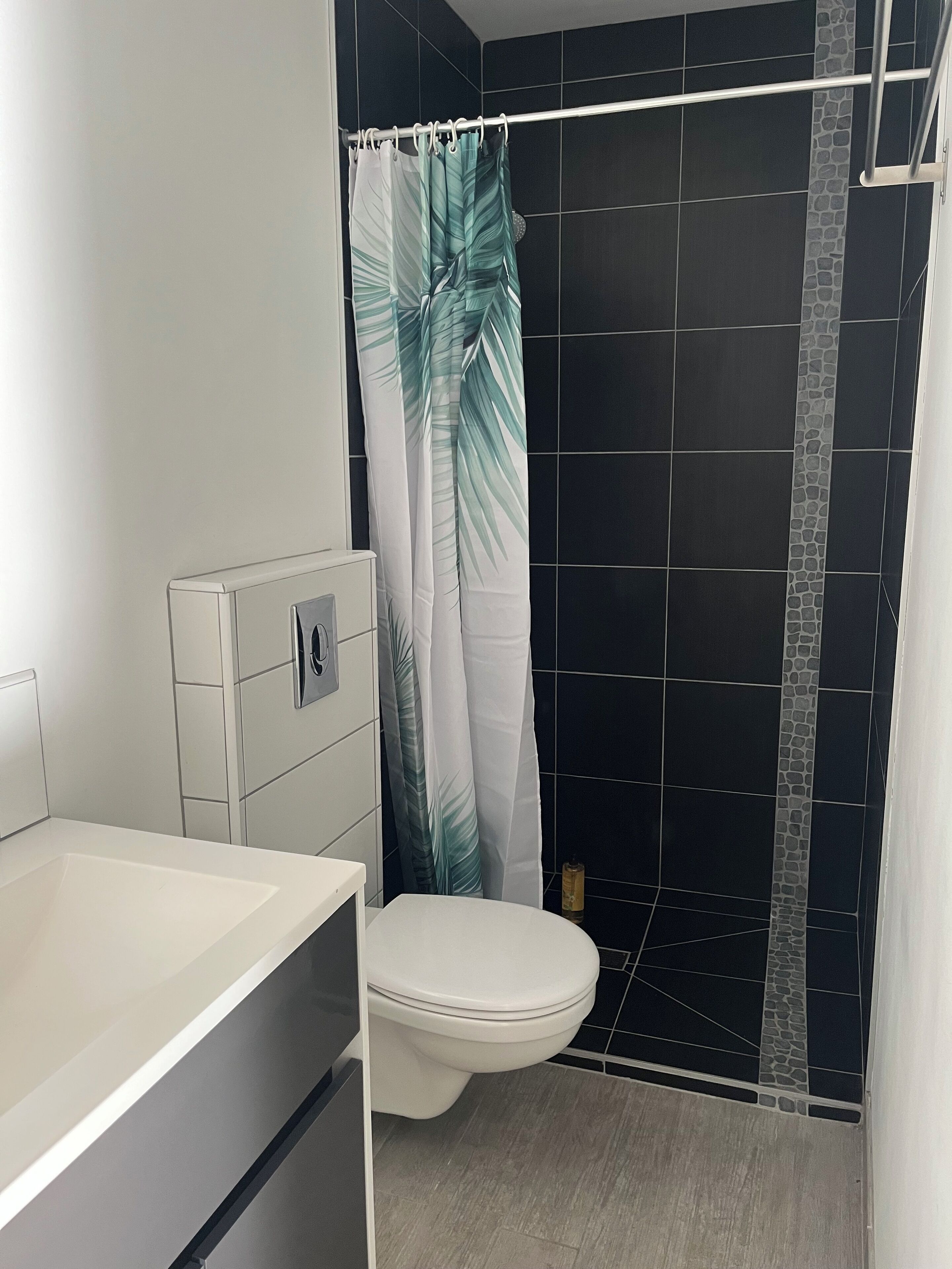 Shower, hair dryer, towels, toilet paper