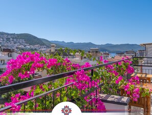 Khuôn viên nơi lưu trú