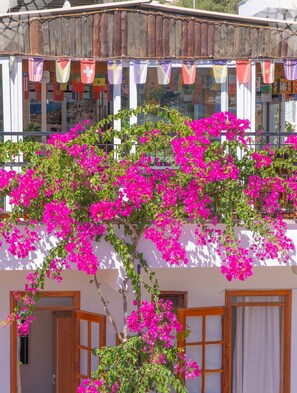 Exterior detail - Kaş Meltem Pansiyon (Kaş)