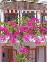 Detalle exterior