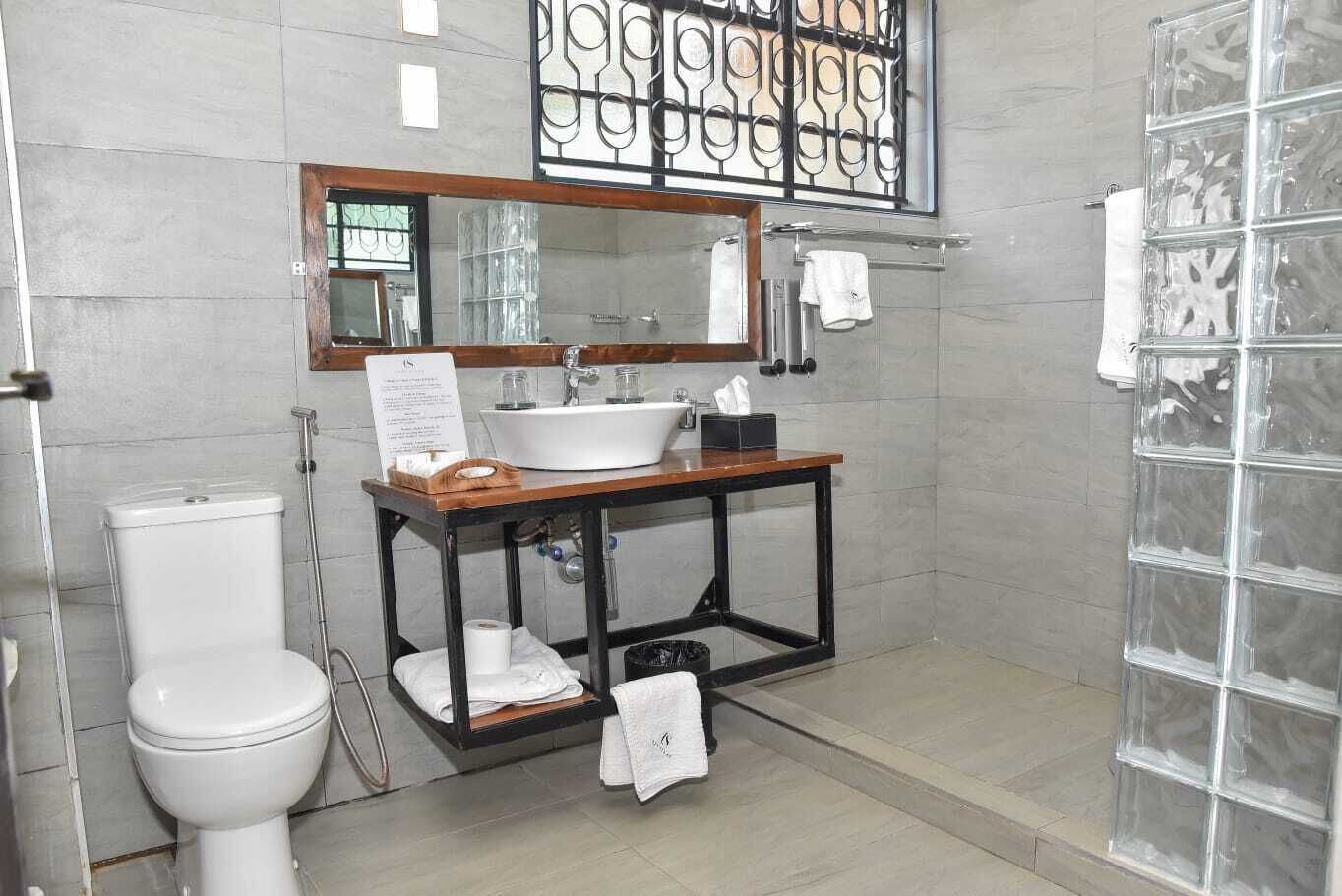 Shower, hair dryer, bidet, towels