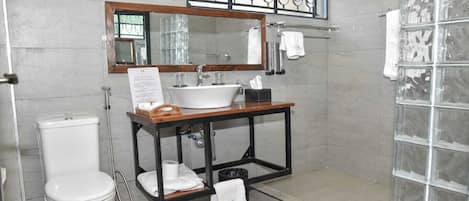Shower, hair dryer, bidet, towels