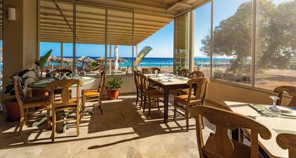 Lotus Serenity Suites