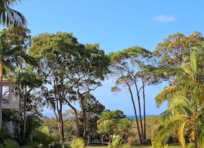 Property grounds - Macquarie Lodge Luxury Apartments (Sunshine Coast)
