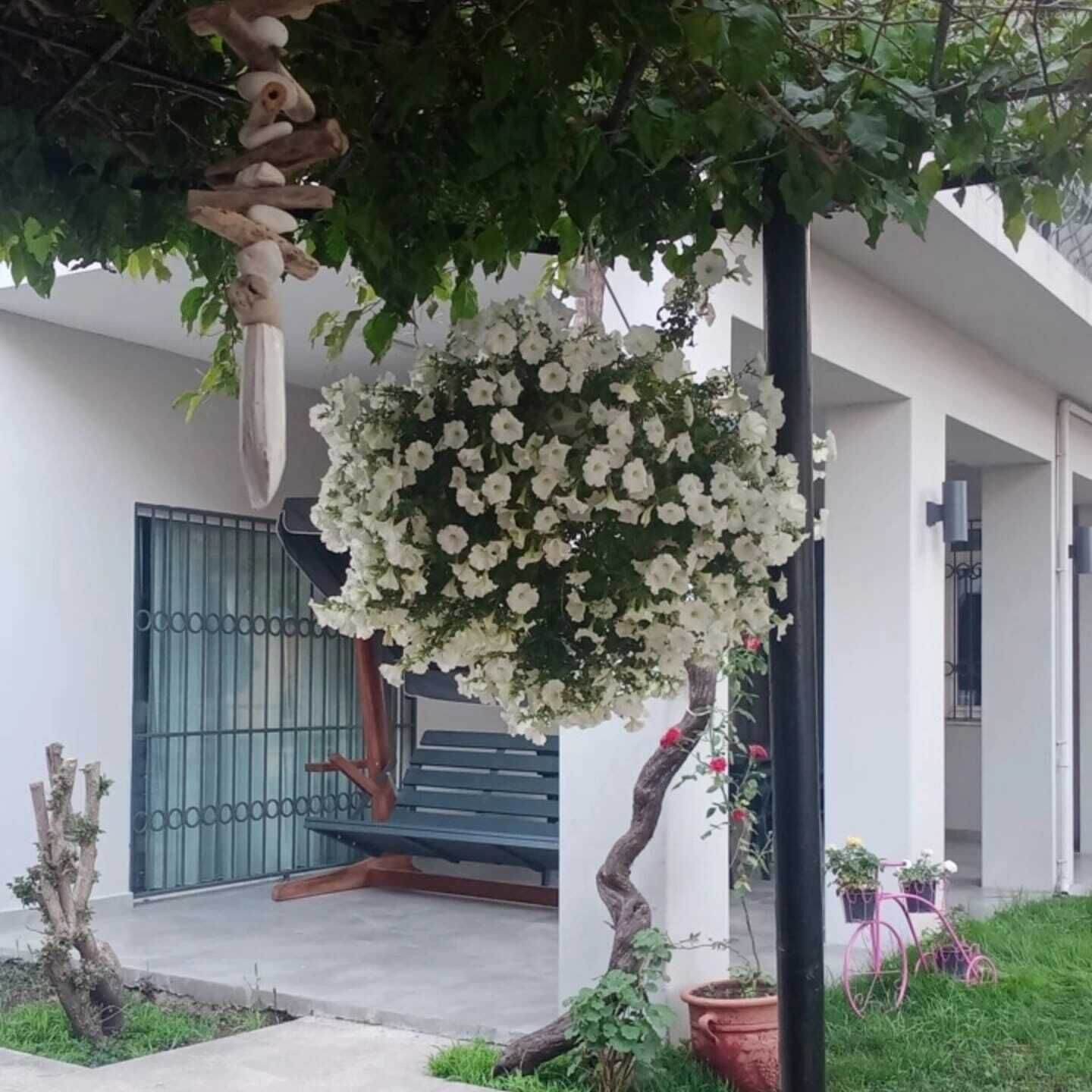 Penthouse Tiêu chuẩn, quang cảnh thành phố | Hiên