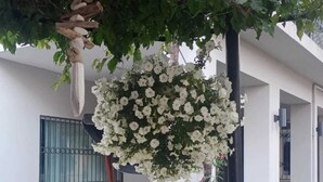 A courtyard with a hanging flower arrangement, a small tree, and a pink bicycle. - EBRU EVLERI ICMELER MERKEZE PLAJA YAKIN (Marmaris)
