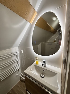 Bathroom - Vrbo Property (Dijon)
