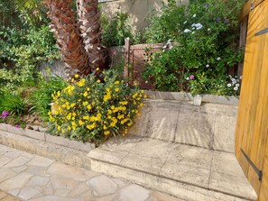 Property grounds - Vacation home in the south of France with heated private pool (Le Muy)