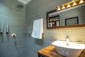 Shower, hair dryer, bidet, towels