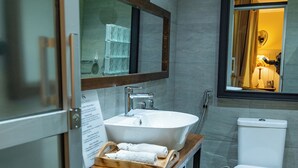A modern bathroom with a large sink, toilet, and a mirror above the sink. - Standard Room in Gigiri near UN Nairobi, Cozy Stead Garden House (Nairobi)