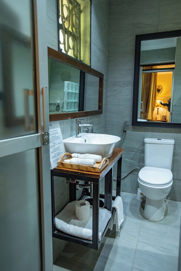 Shower, hair dryer, bidet, towels