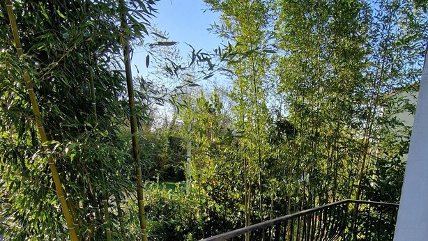 A concrete pathway with a metal railing, surrounded by greenery and trees. - Appartement "2" Villa Cây Tre Classé 3* (Rochefort)