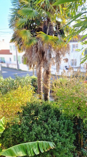 Property grounds - Appartement "2" Villa Cây Tre Classé 3* (Rochefort)