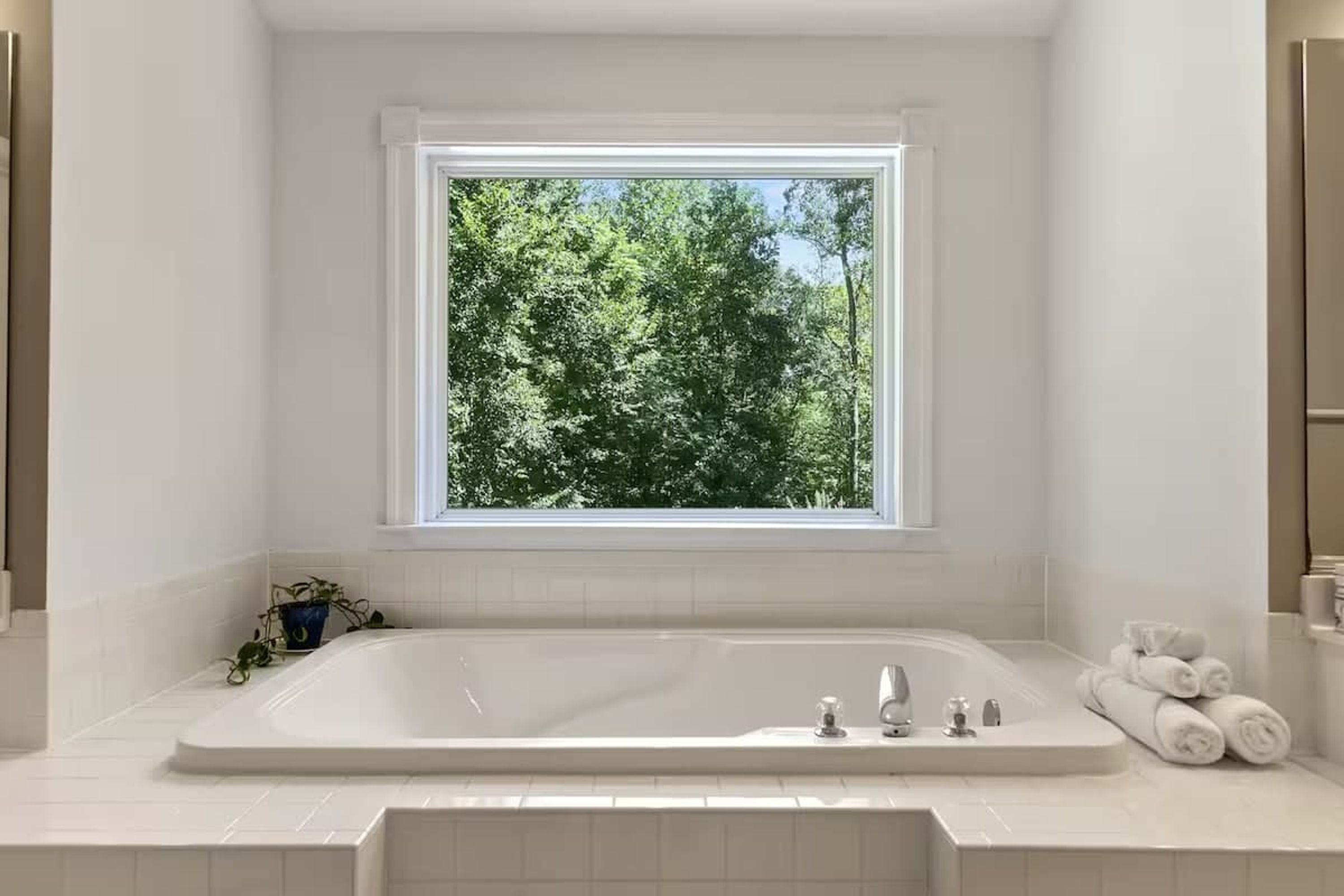 A modern bathroom with a large bathtub, a window with a view of trees, and a potted plant on the counter.