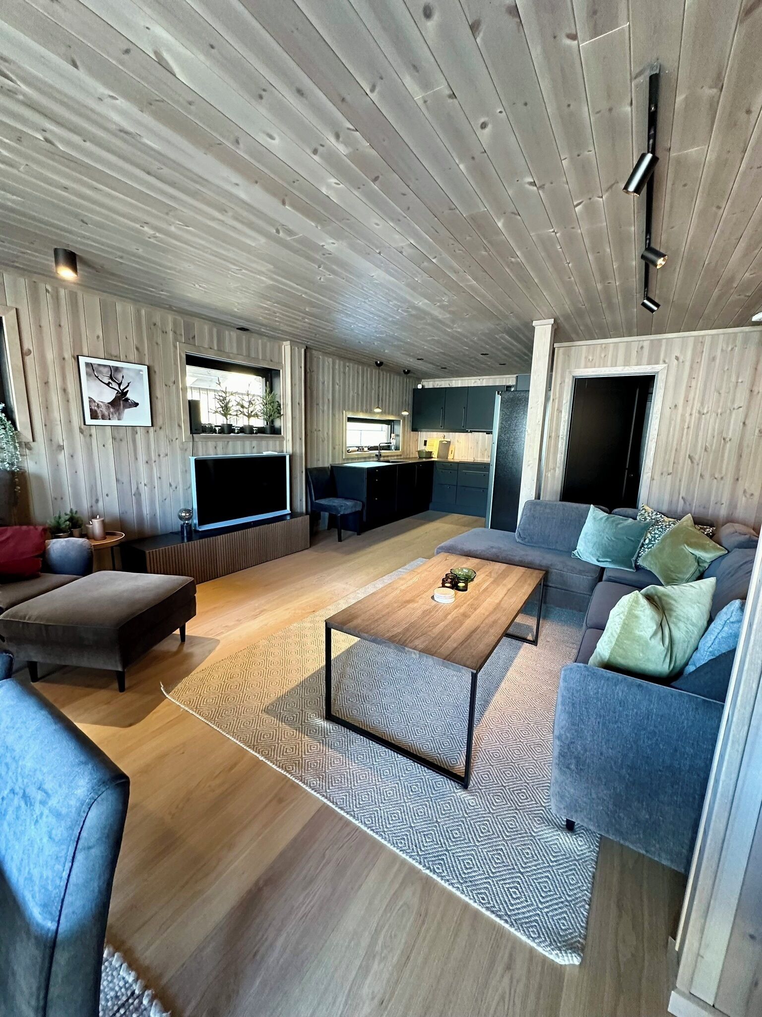 Fernseher, Kamin