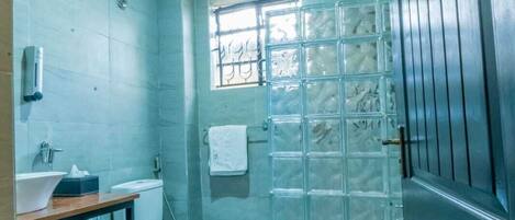 Shower, hair dryer, bidet, towels