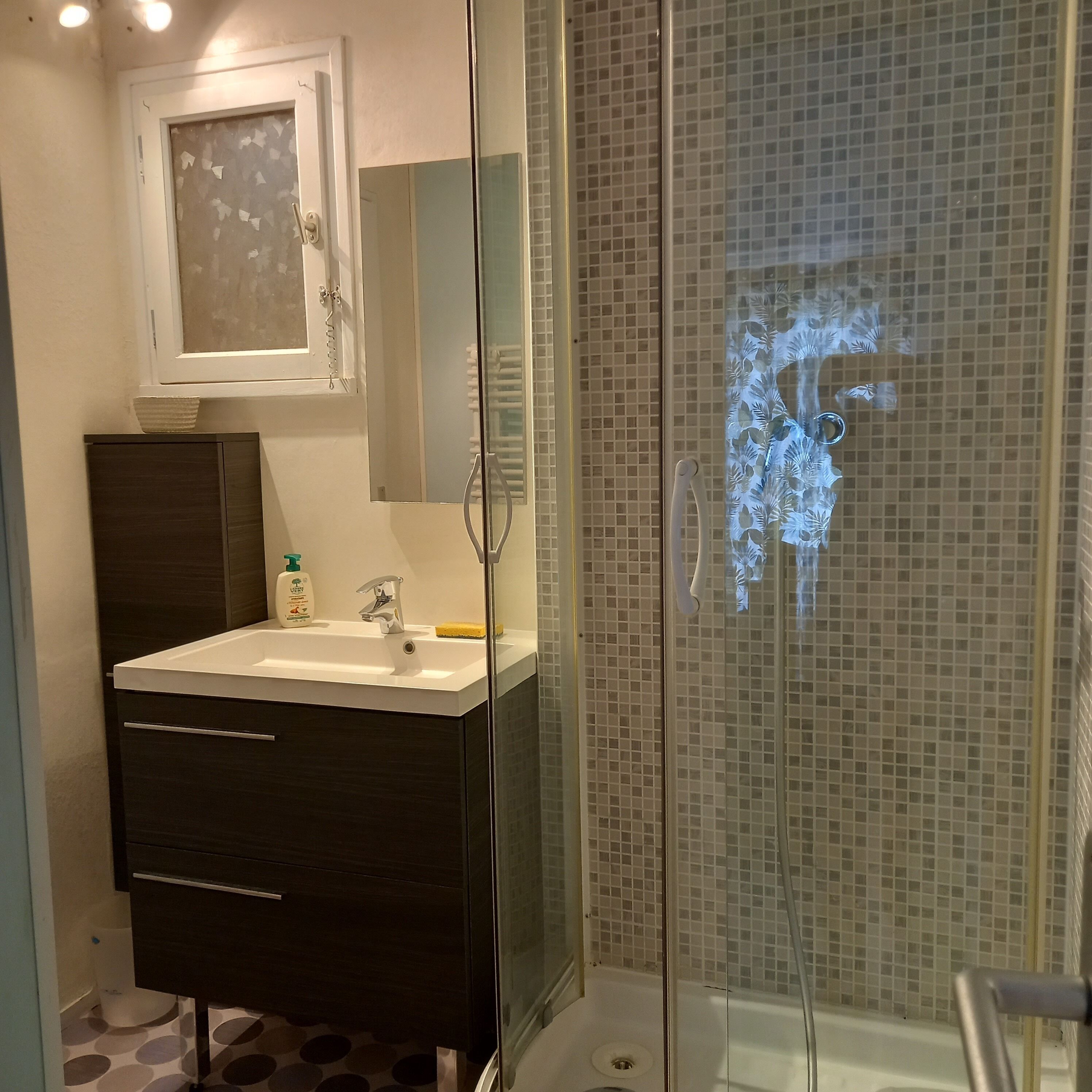 Shower, hair dryer