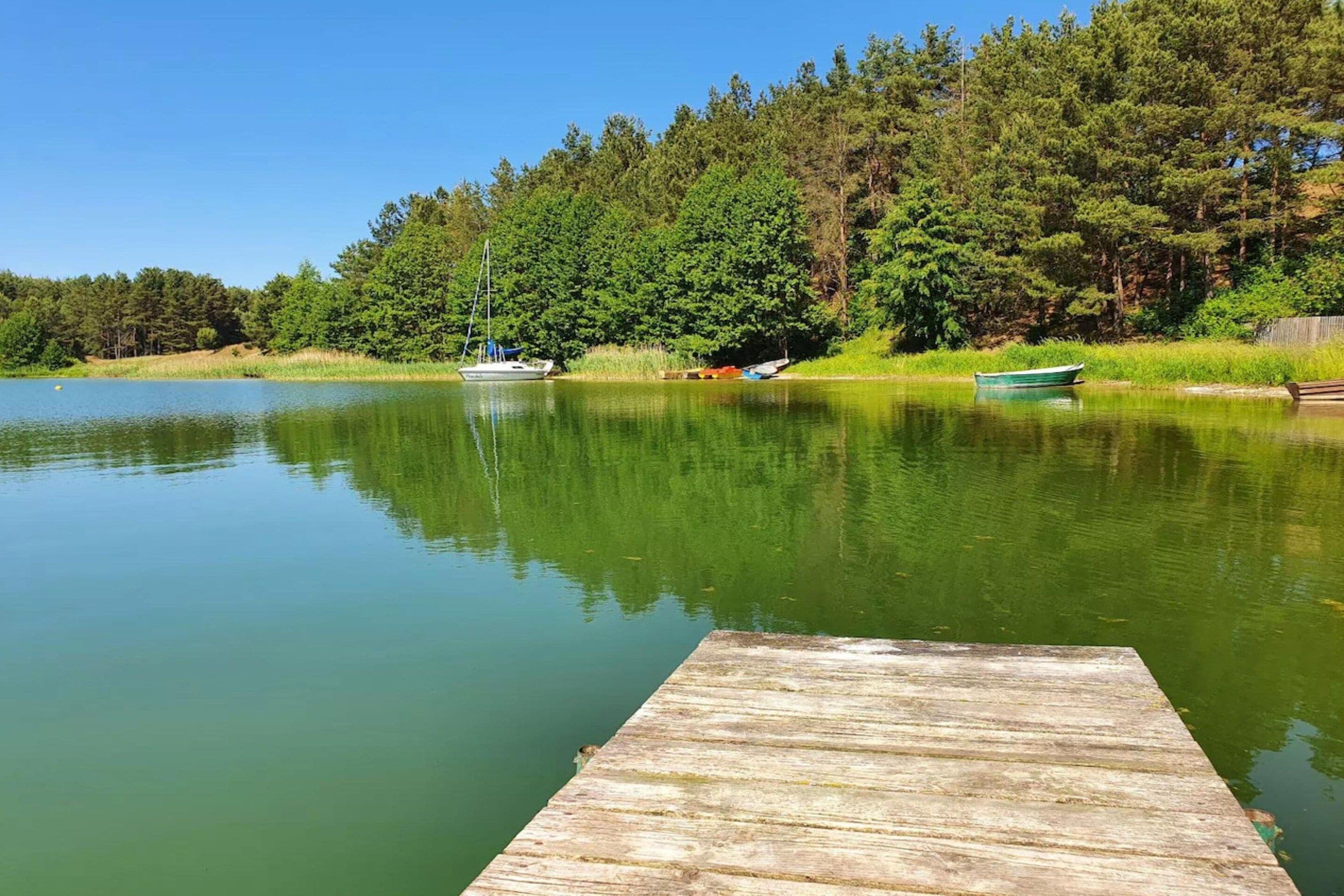 A calm lake with a wooden dock extending into the water, surrounded by dense forest.