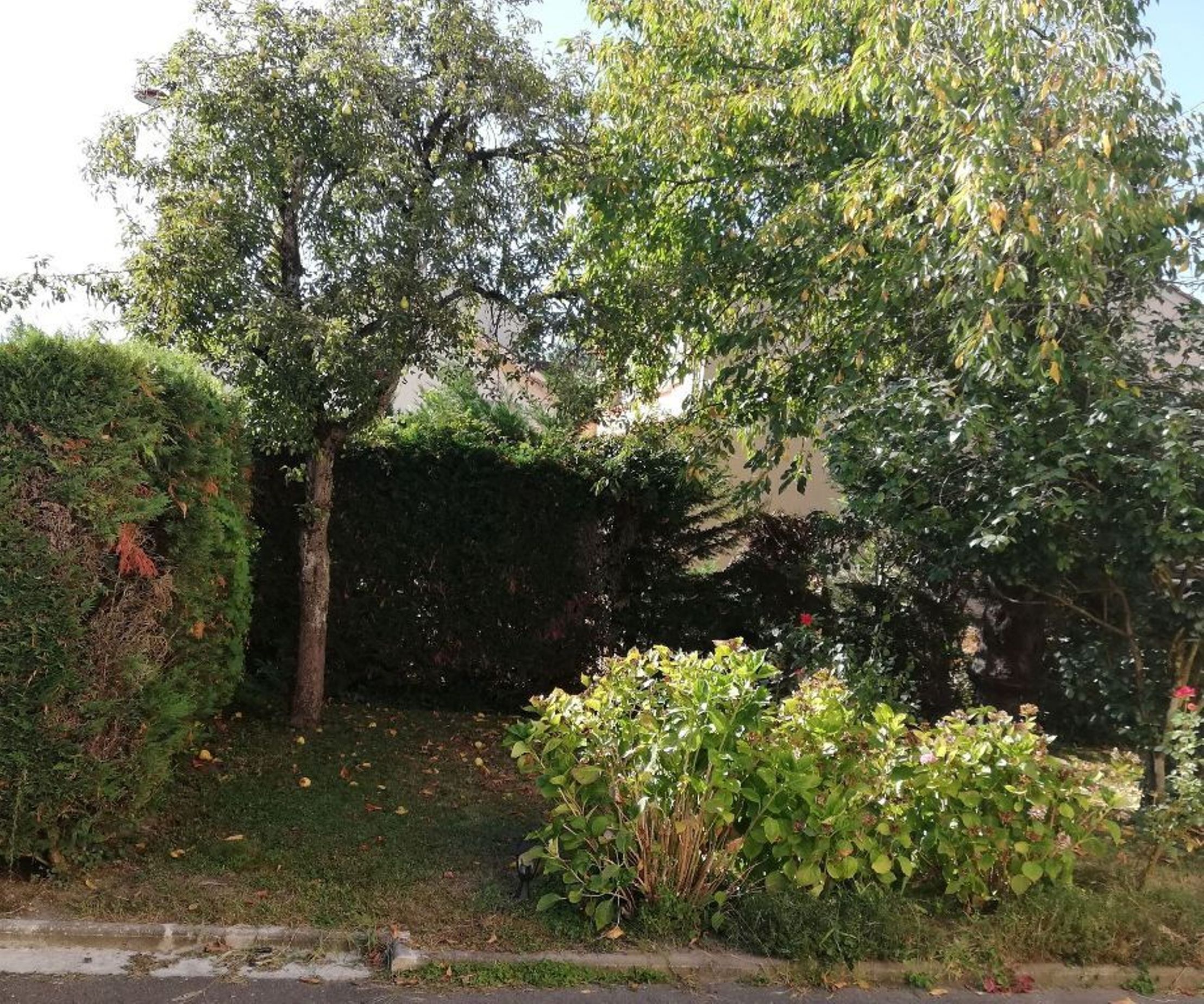 Terrain de l’hébergement 