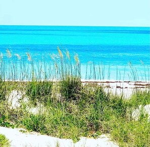 Beach nearby, sun-loungers, beach towels - Beachside Gem Steps from Intracoastal (St. Augustine)