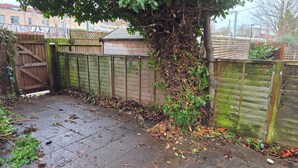 Un jardin avec une clôture en bois, un arbre et une zone pavée parsemée de feuilles.
