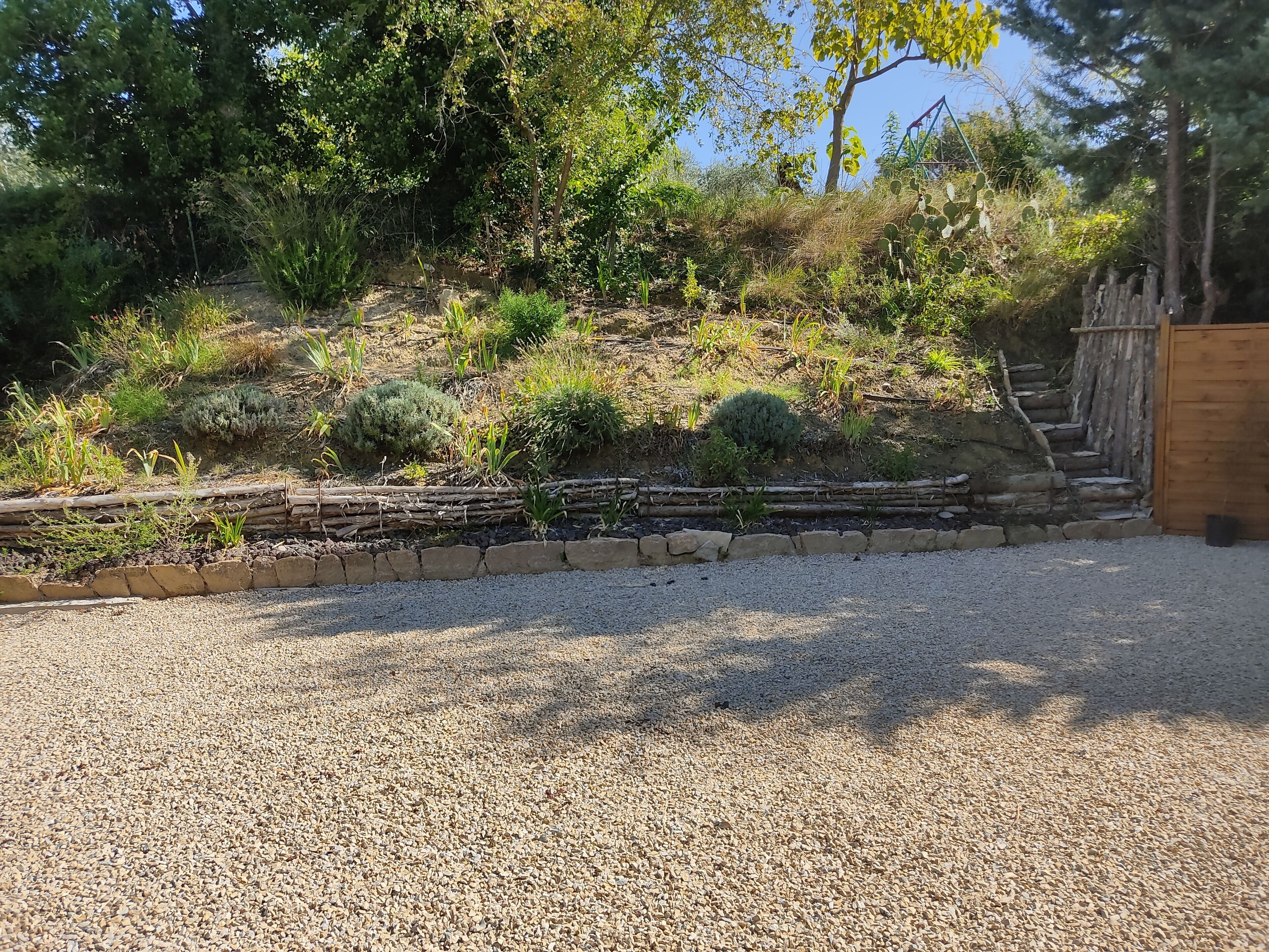 A garden with a gravel path, wooden steps, and various plants.