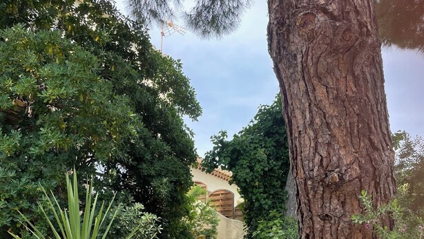 Un chemin menant à un bâtiment doté d’un escalier en pierre, entouré de verdure et d’un grand arbre.