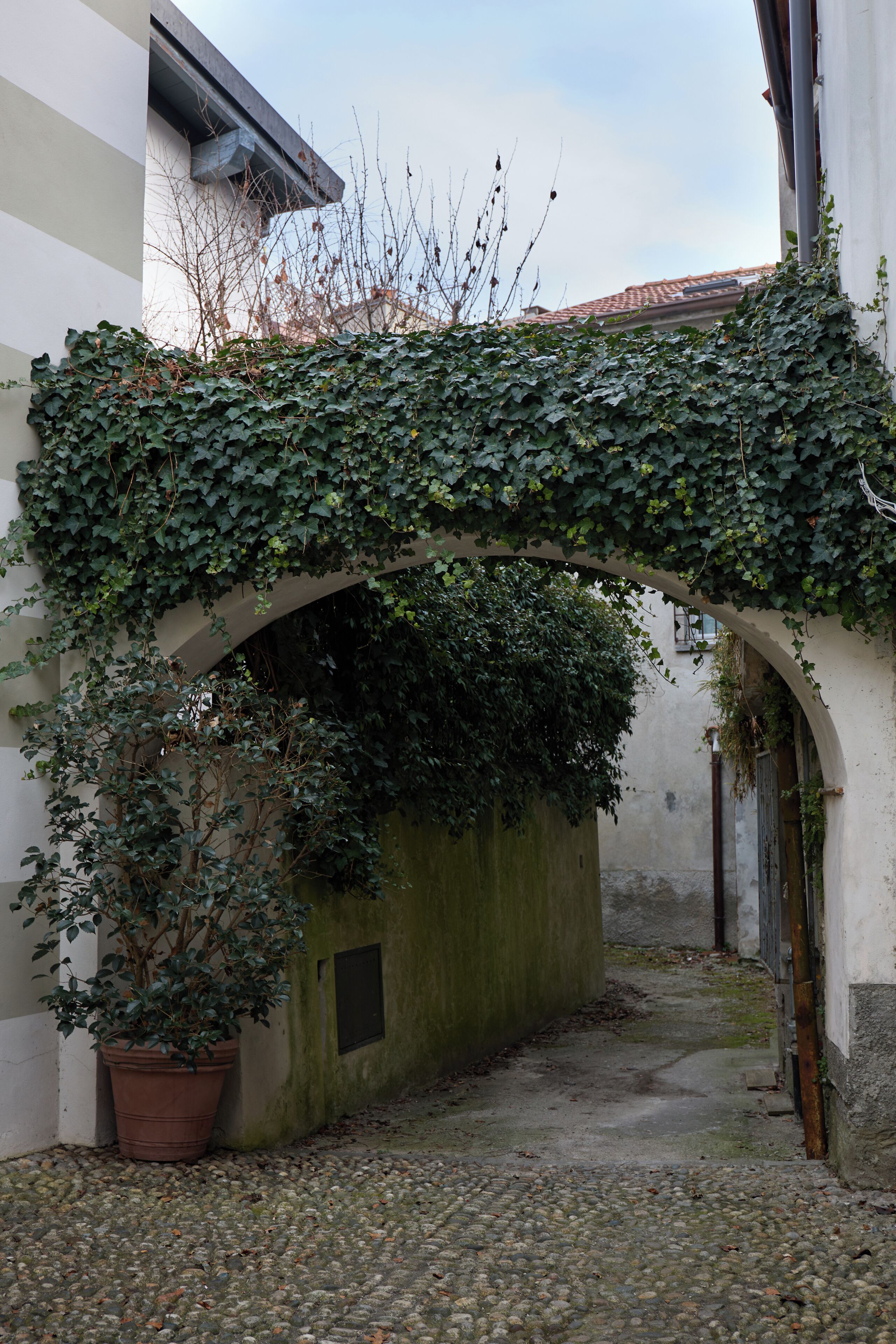 Overnatningsstedets område