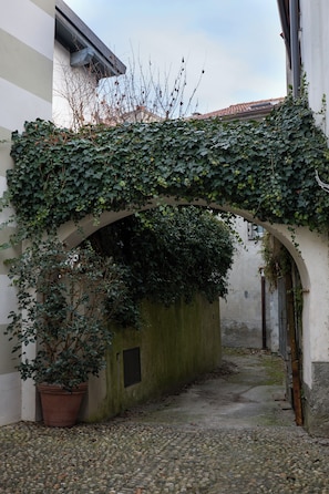 Ein gewölbter Gang mit efeuüberwucherten Wänden und einem Blumentopf am Eingang.