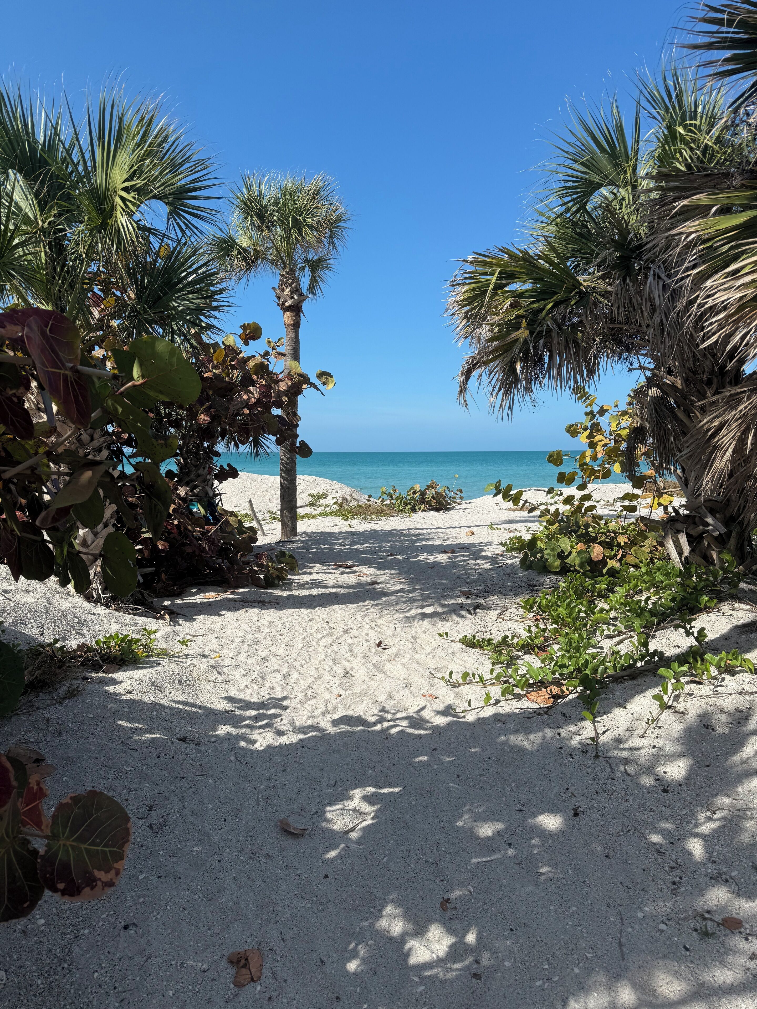 Path to the gulf /beach