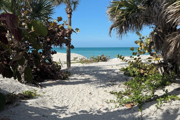 Path to the gulf /beach