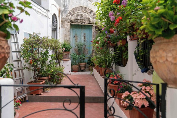 A narrow alleyway with potted plants and a blue door. - House in the center of Amalfi enveloped by the scent of lemons, far from the chaos (Amalfi)