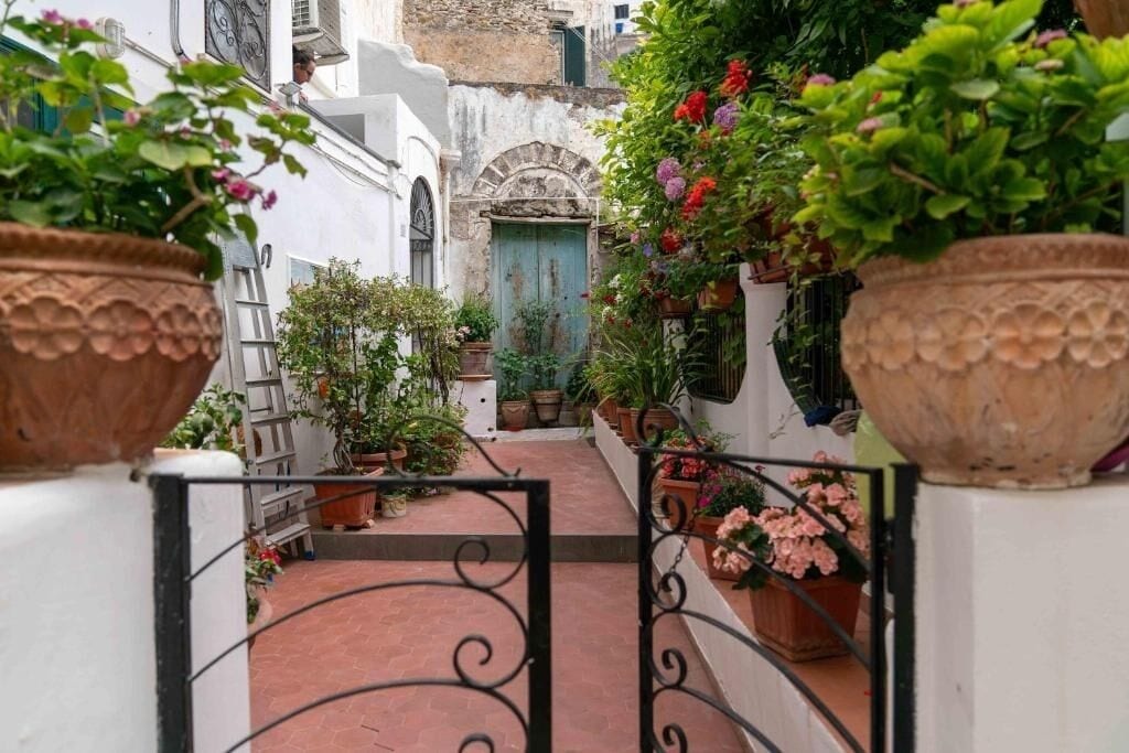 Detalle exterior
