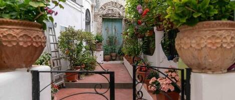 Detalle exterior