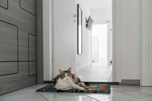 Interior - House in the center of Amalfi enveloped by the scent of lemons, far from the chaos (Amalfi)