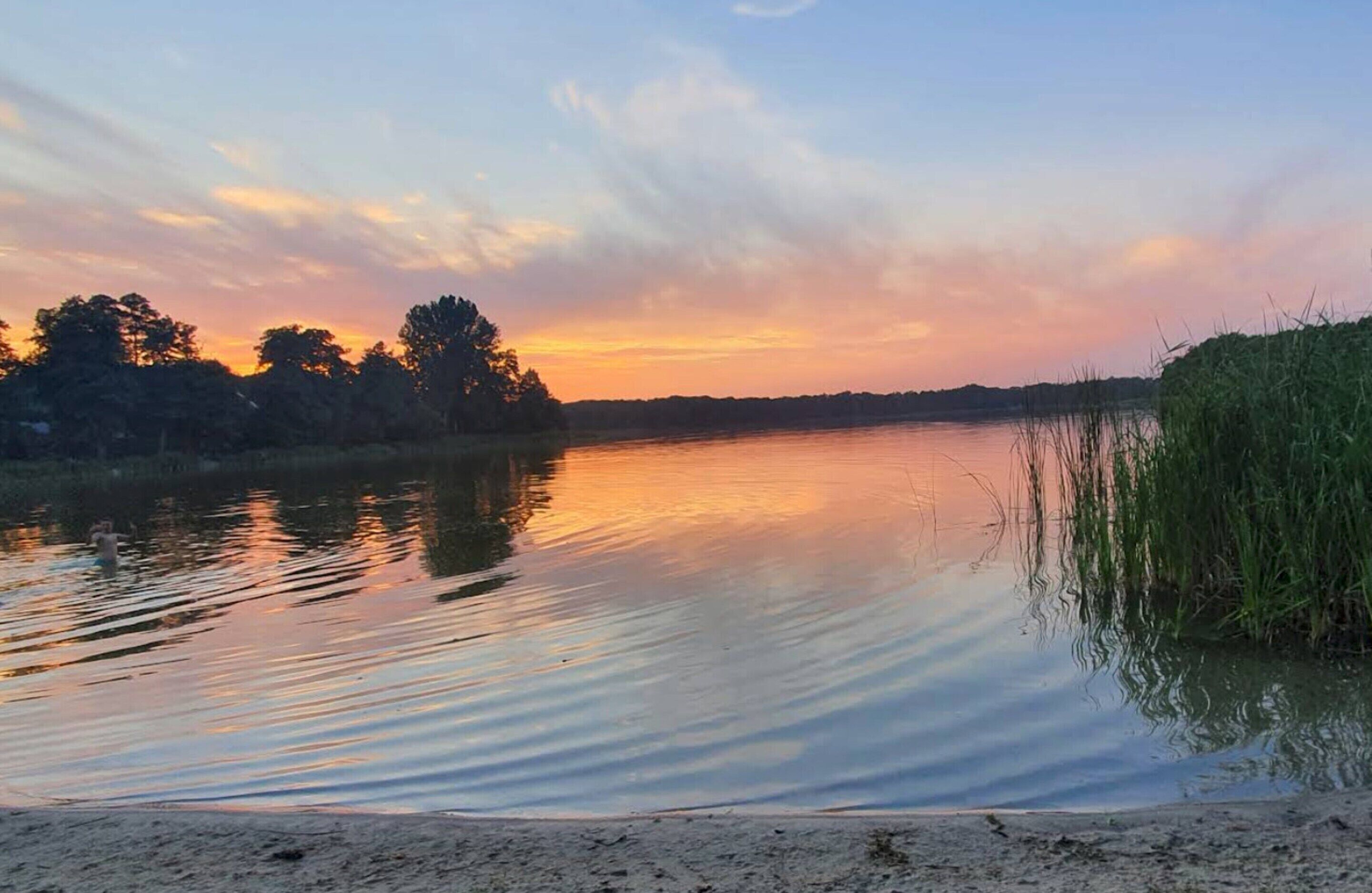 Ein ruhiger See bei Sonnenuntergang mit Bäumen im Hintergrund und einer grasbewachsenen Uferbank.