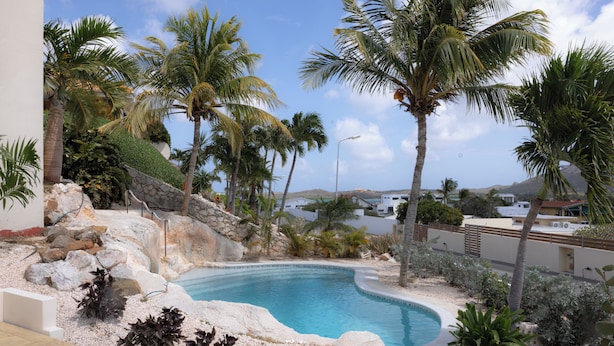 A swimming pool surrounded by palm trees and rocks, with a view of distant buildings. - Villa Elizabeth (Willemstad)
