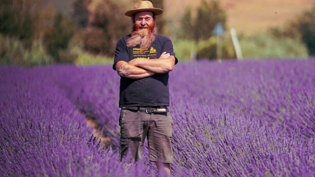 Una persona in piedi in un campo di lavanda, con le braccia conserte.