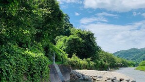 A riverbank with clear water, rocks, and greenery.