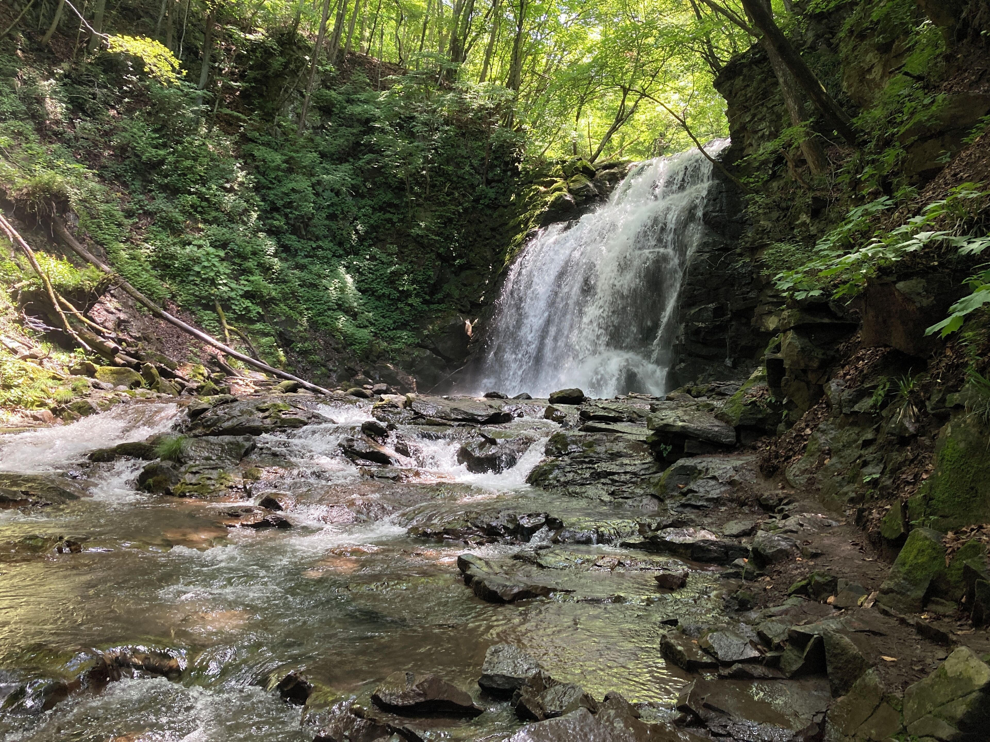 A waterfall in a forested area with rocks and water.