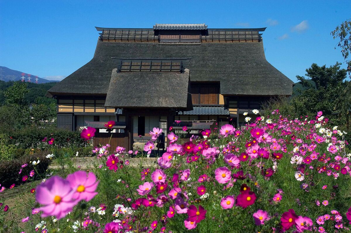 Land view from property