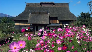 Land view from property