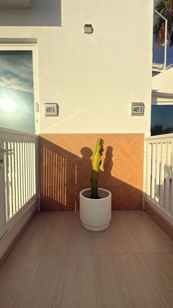 A potted cactus on a balcony with a herringbone-patterned wall, two apartment numbers, and a white railing.