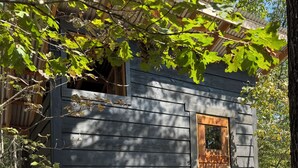 A small cabin with a wooden door, a porch, and a wooden bench. - Secluded and romantic:  The perfect glamping getaway guests are loving! (Siloam Springs)