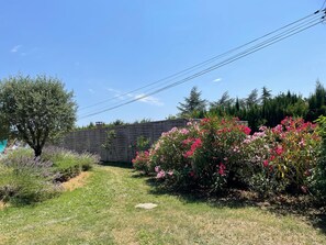 Property grounds - Country house surrounded by lavender fields and vineyards (Grignan)