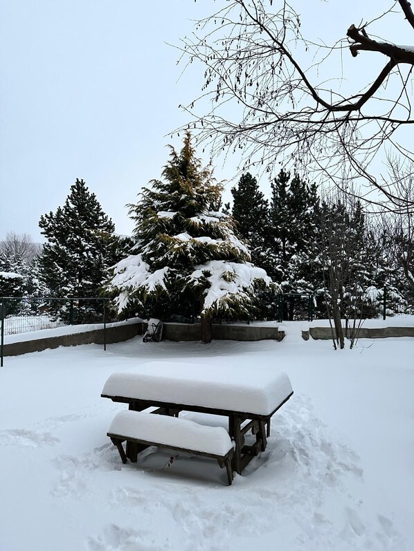 Terrain de l’hébergement