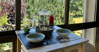 CHALET 5 PIECES 110M2 JARDIN CLOTURE 250M2 BOLQUERE VUE MONTAGNE